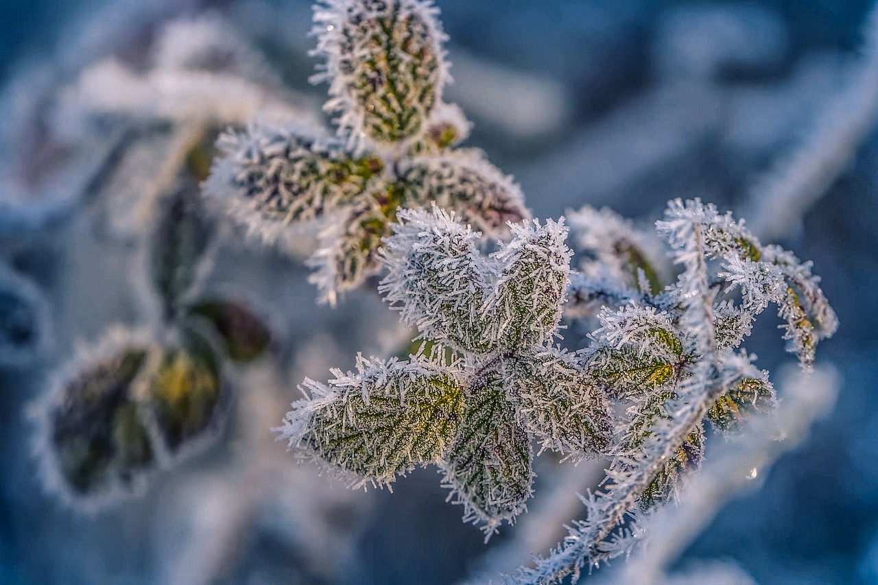 Crafting an Indoor Snow Day: Winter Crafts for Kids